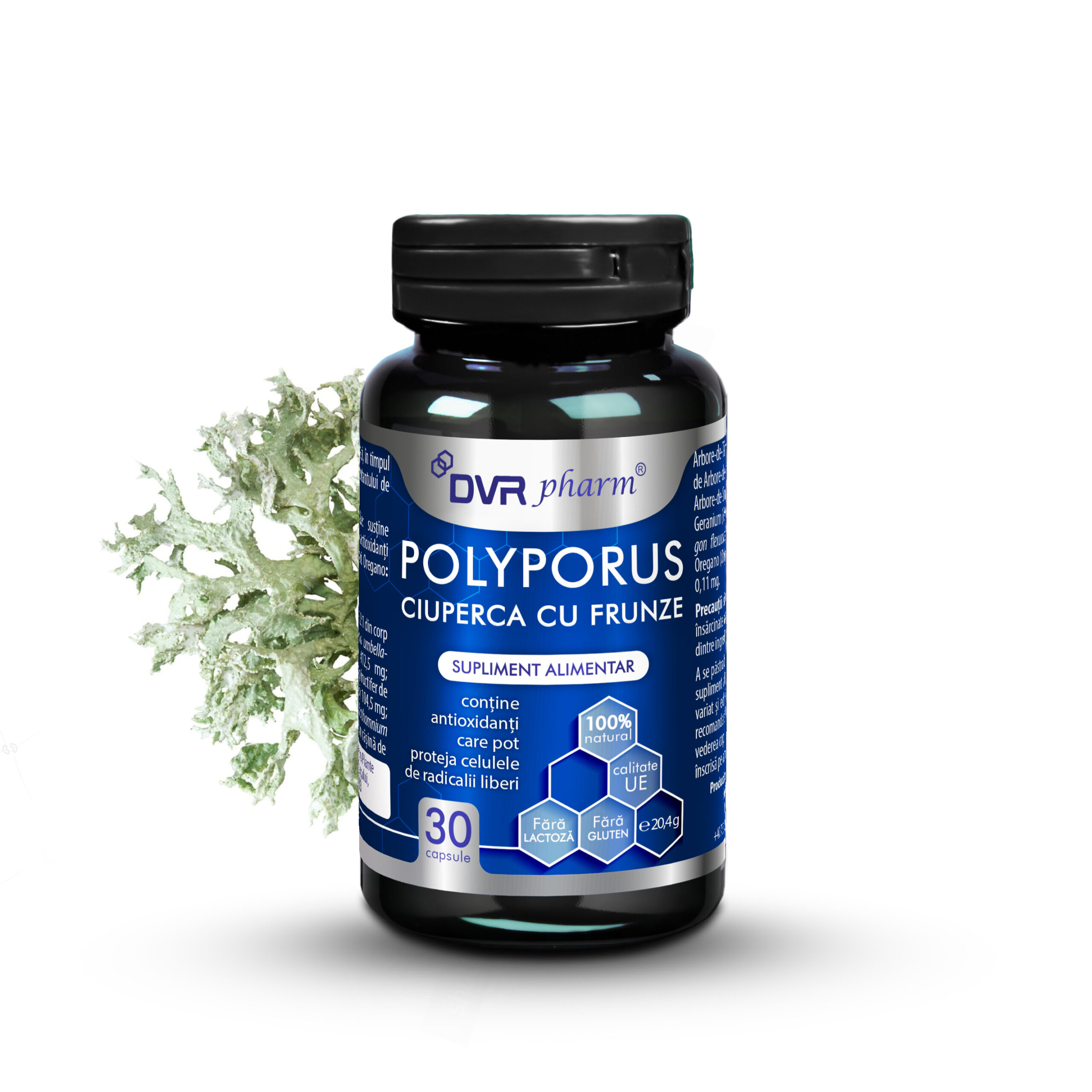 POLYPORUS – Ciuperca cu Frunze - 30 de capsule