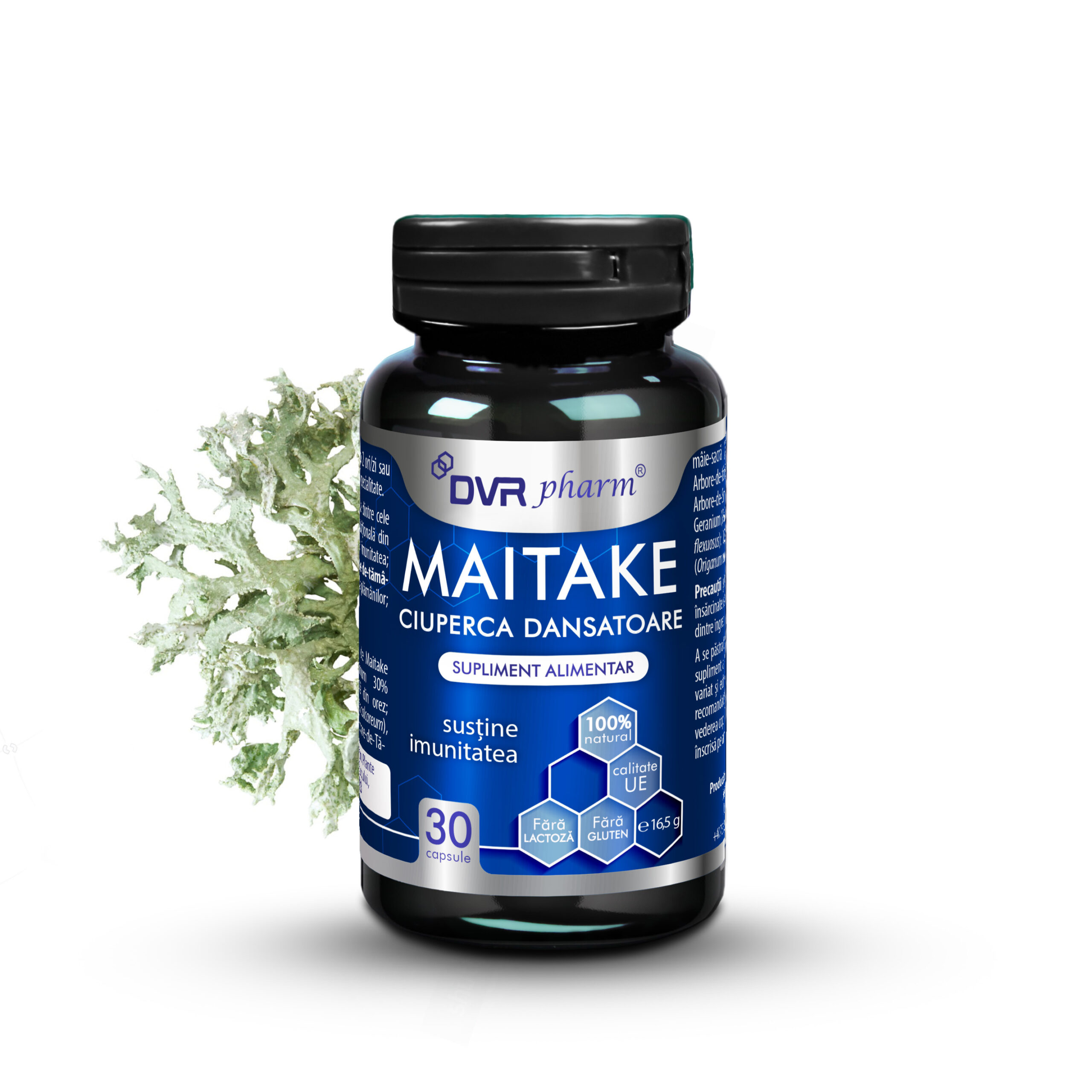 MAITAKE - „Ciuperca Dansatoare” - 30 de capsule