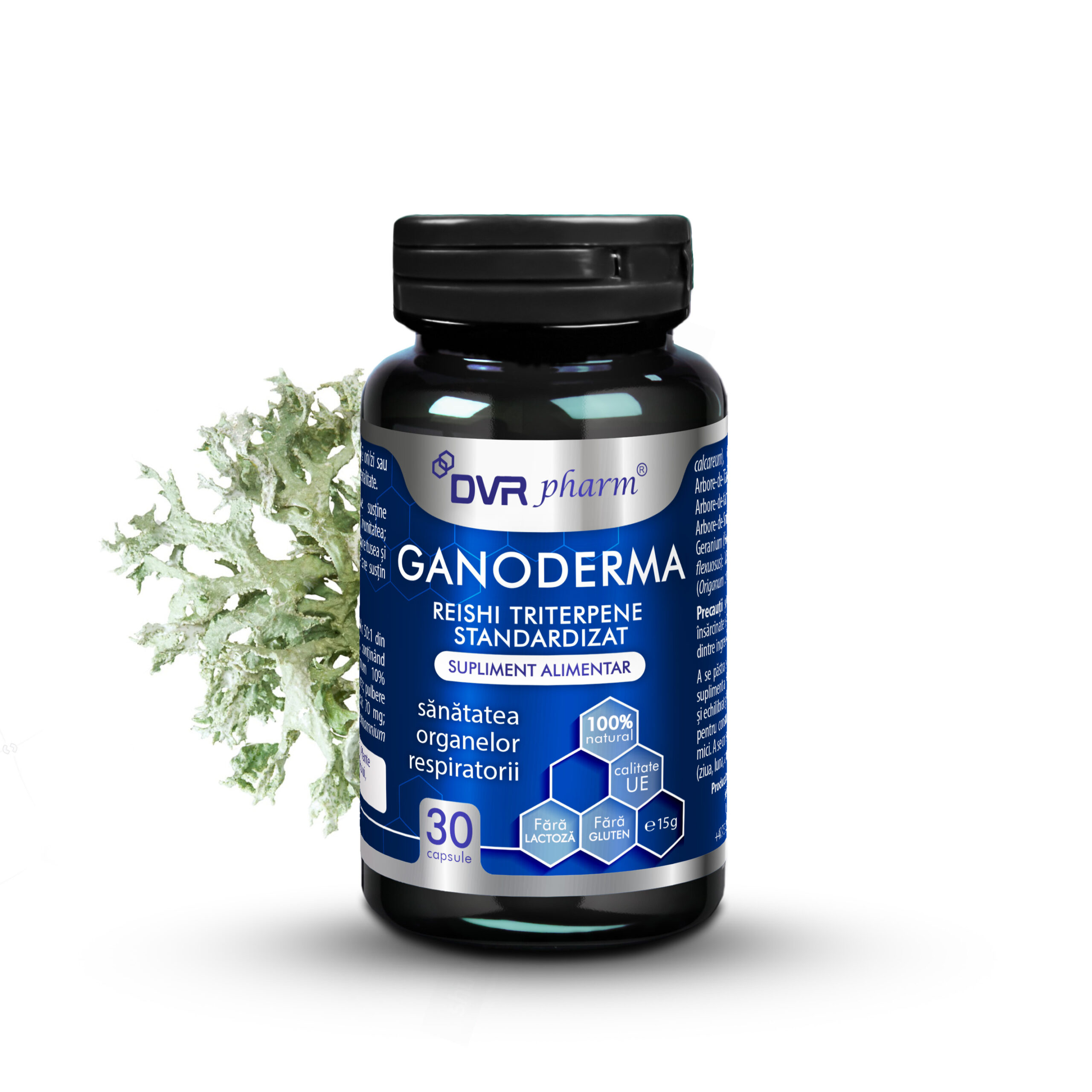 GANODERMA - Reishi Triterpene Standardizat - 30 capsule