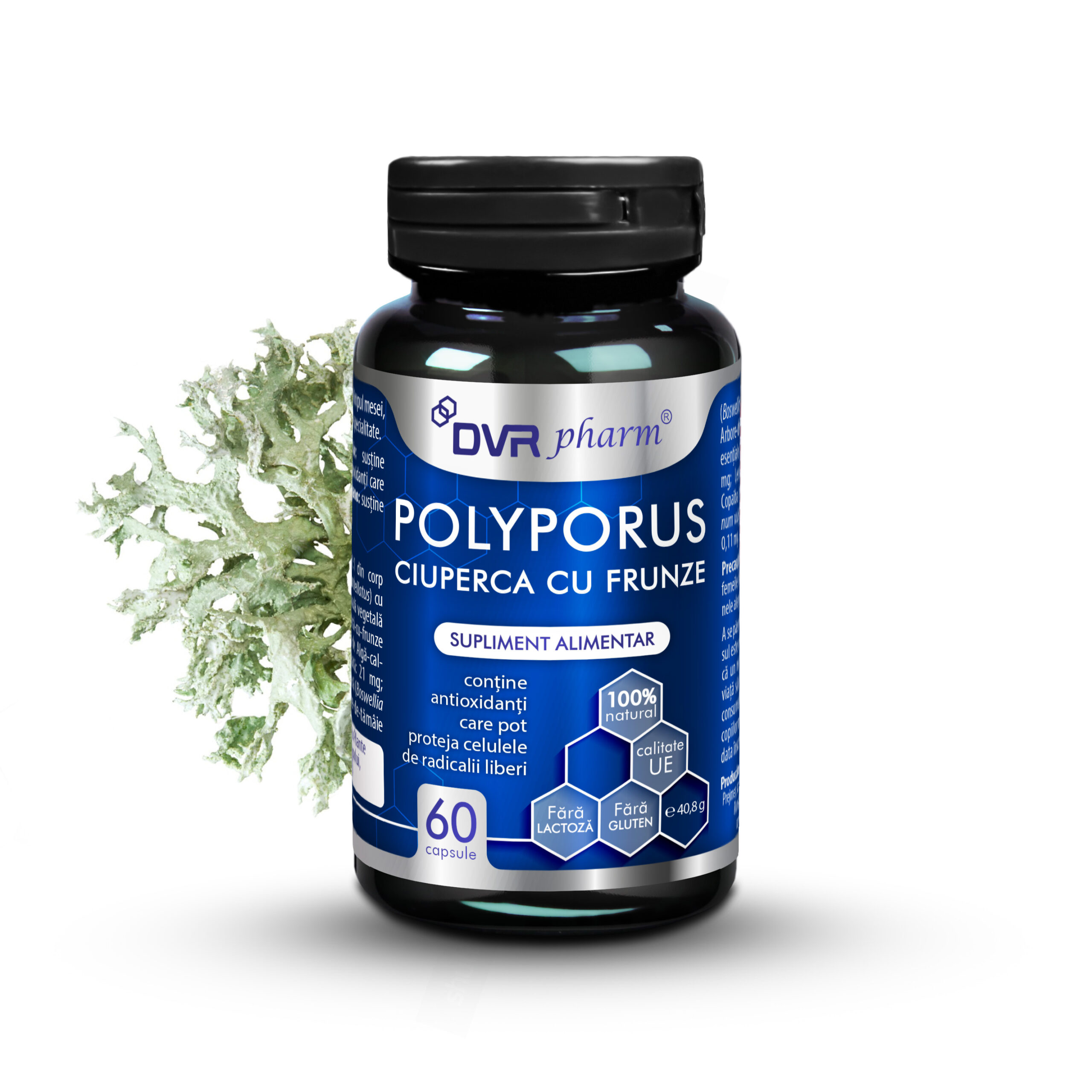 POLYPORUS – Ciuperca cu Frunze - 60 de capsule