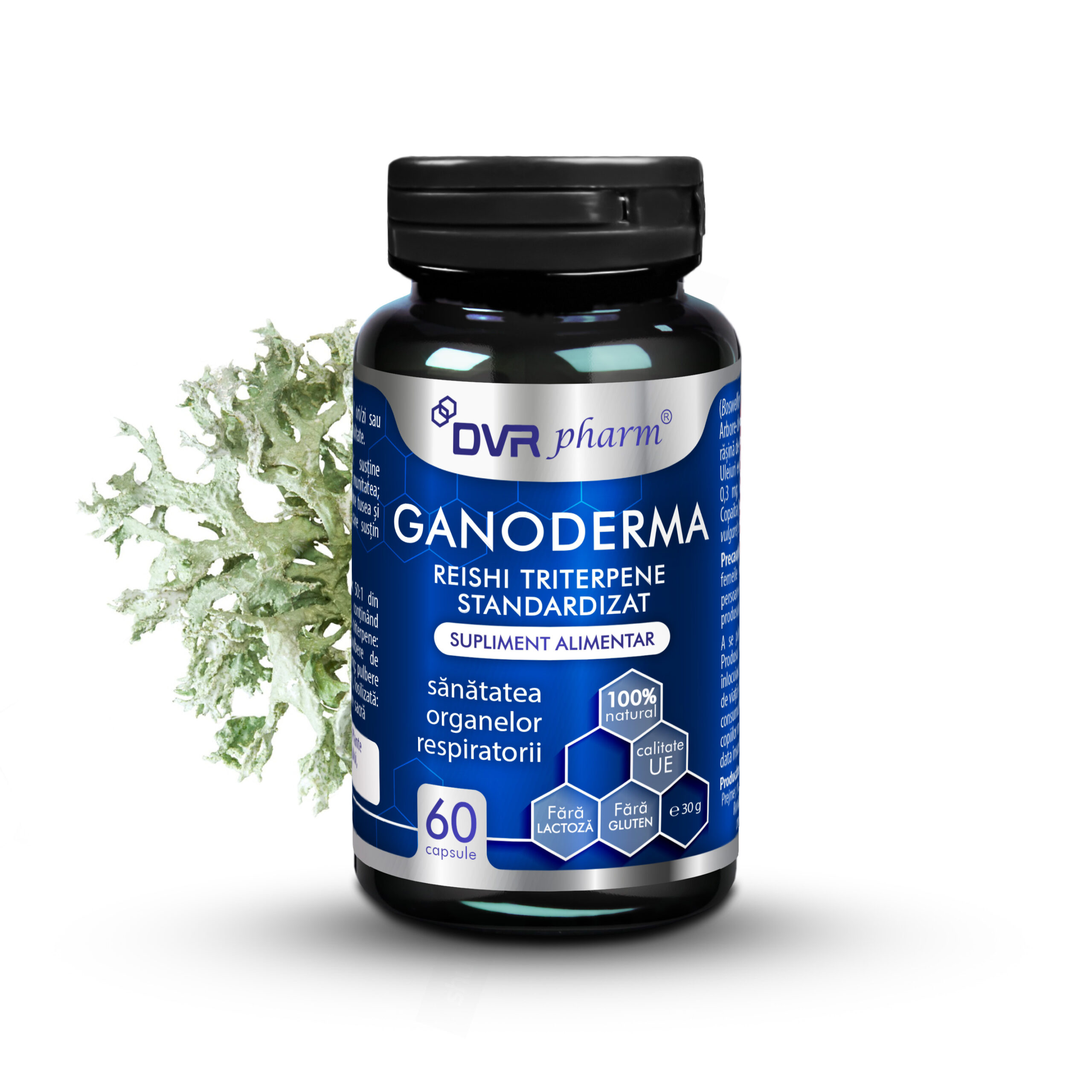 GANODERMA - Reishi Triterpene Standardizat - 60 de capsule