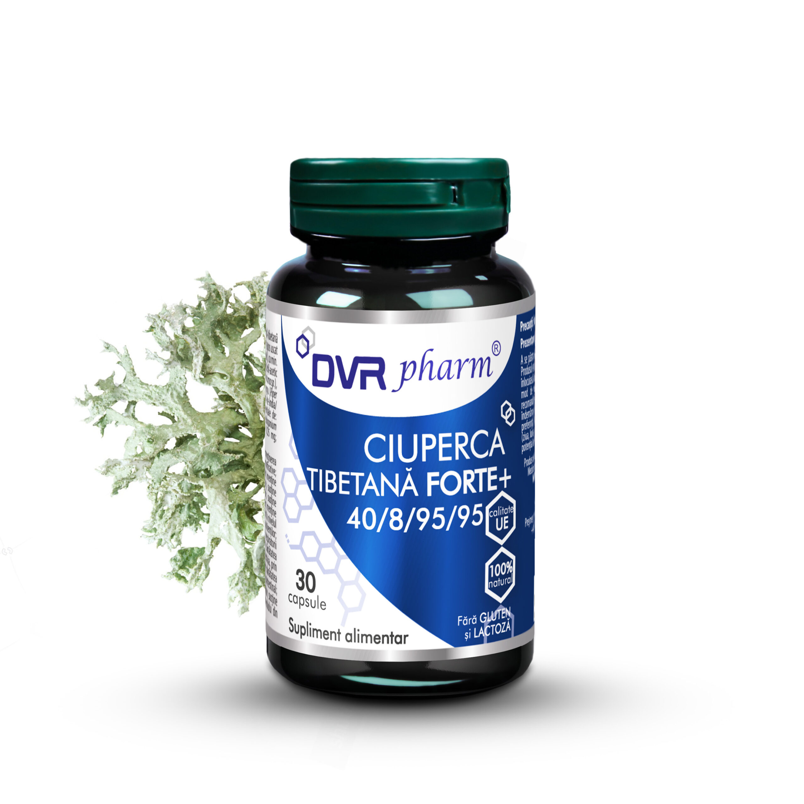 CIUPERCA TIBETANĂ FORTE + - 30 capsule