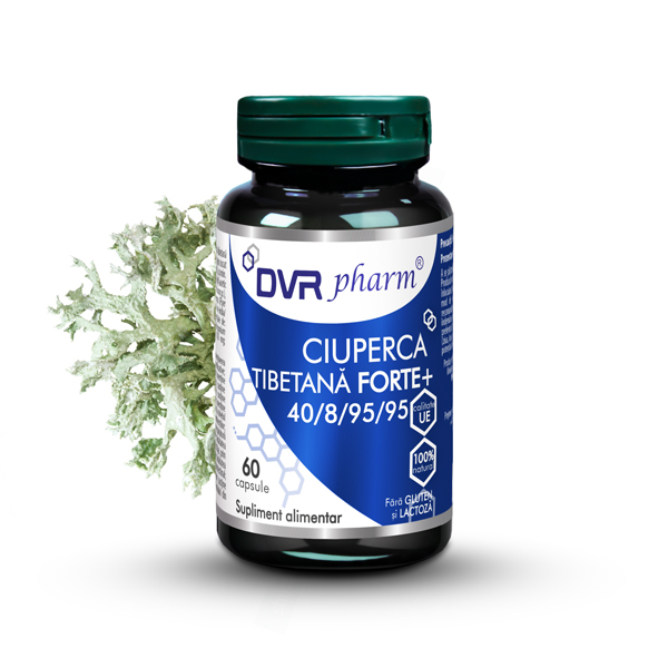 CIUPERCA TIBETANĂ FORTE + - 60 capsule