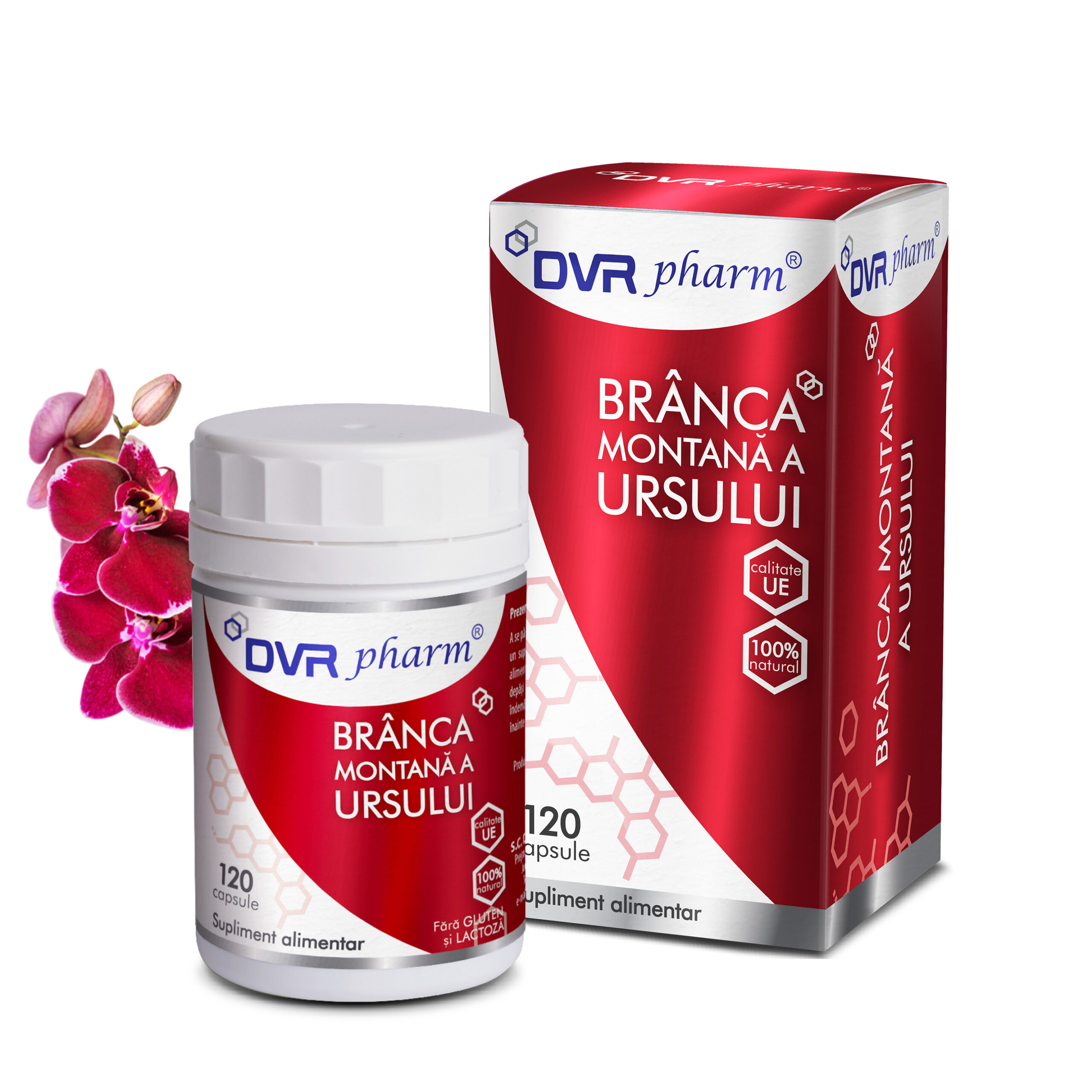 BRÂNCA MONTANĂ A URSULUI - 120 capsule