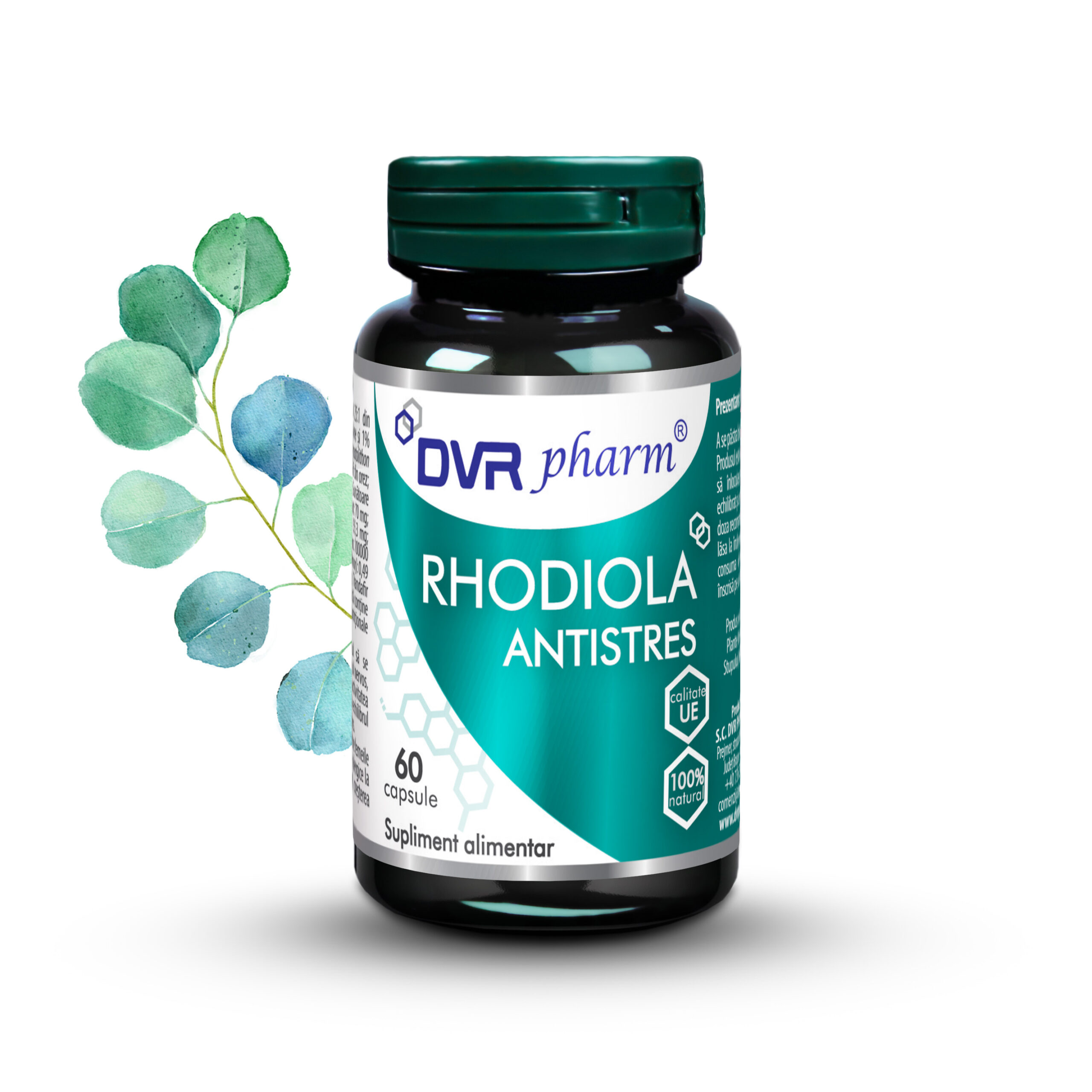 RHODIOLA ANTISTRES - 60 capsule