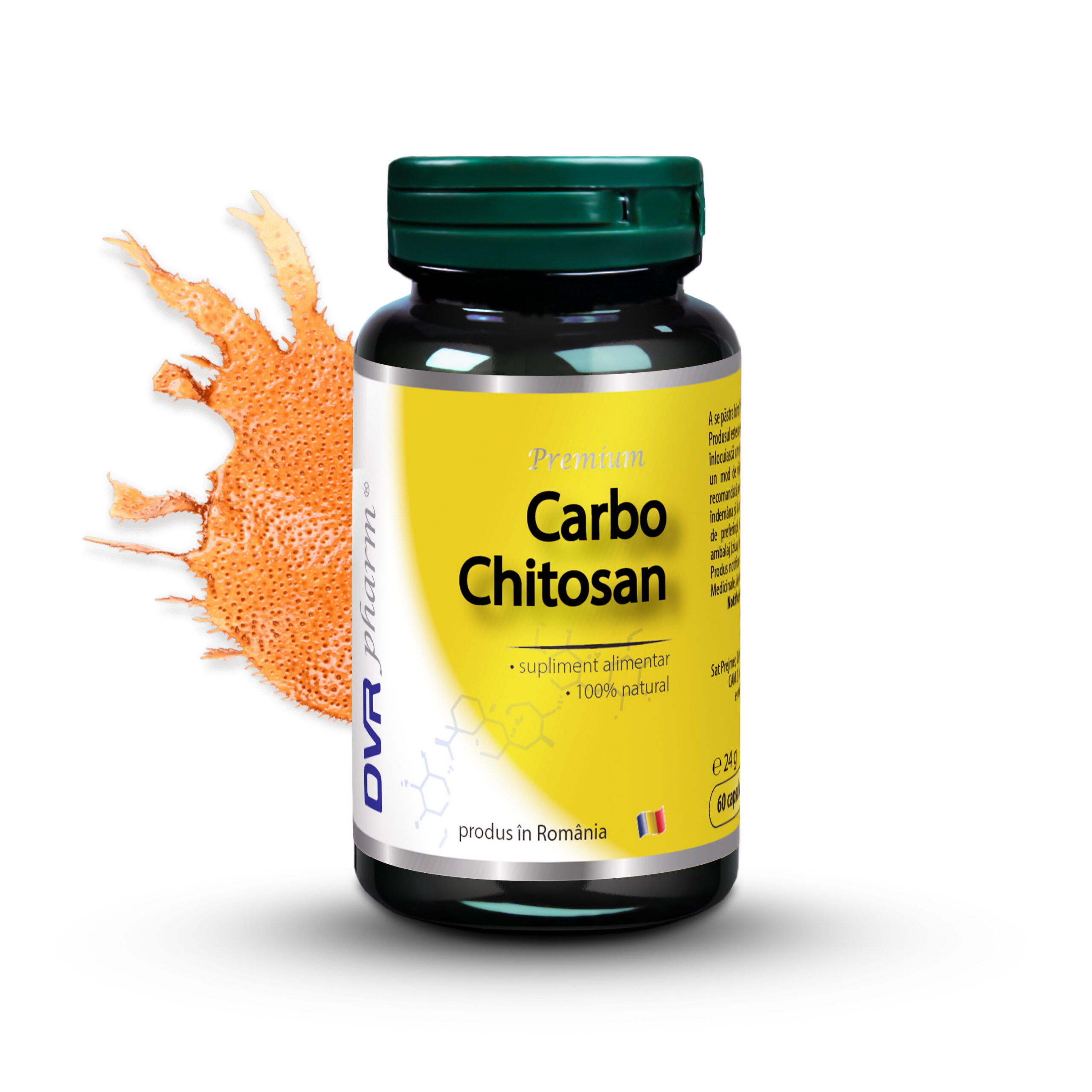 CARBO CHITOSAN - 60 capsule