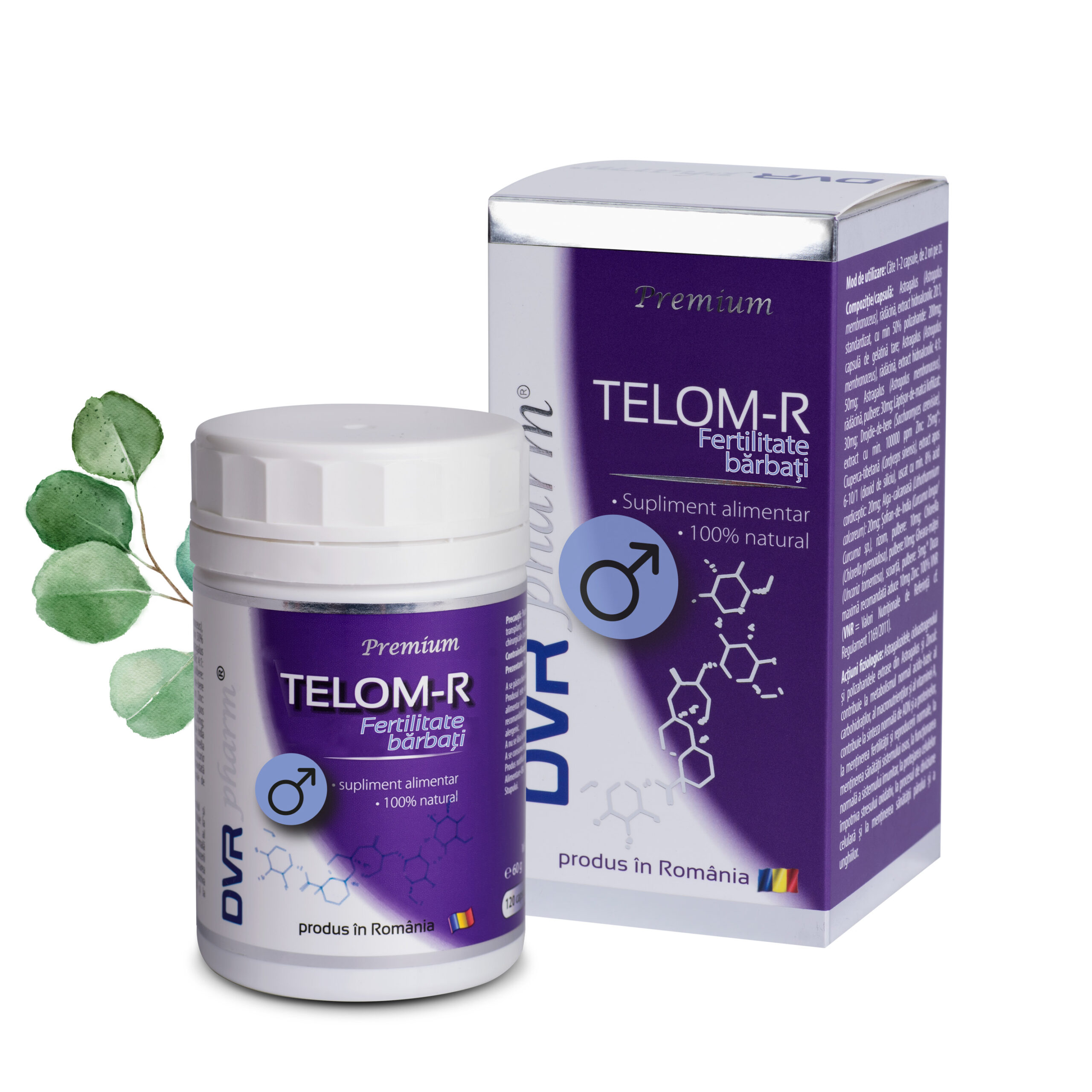 TELOM-R FERTILITATE BĂRBAȚI - 120 capsule