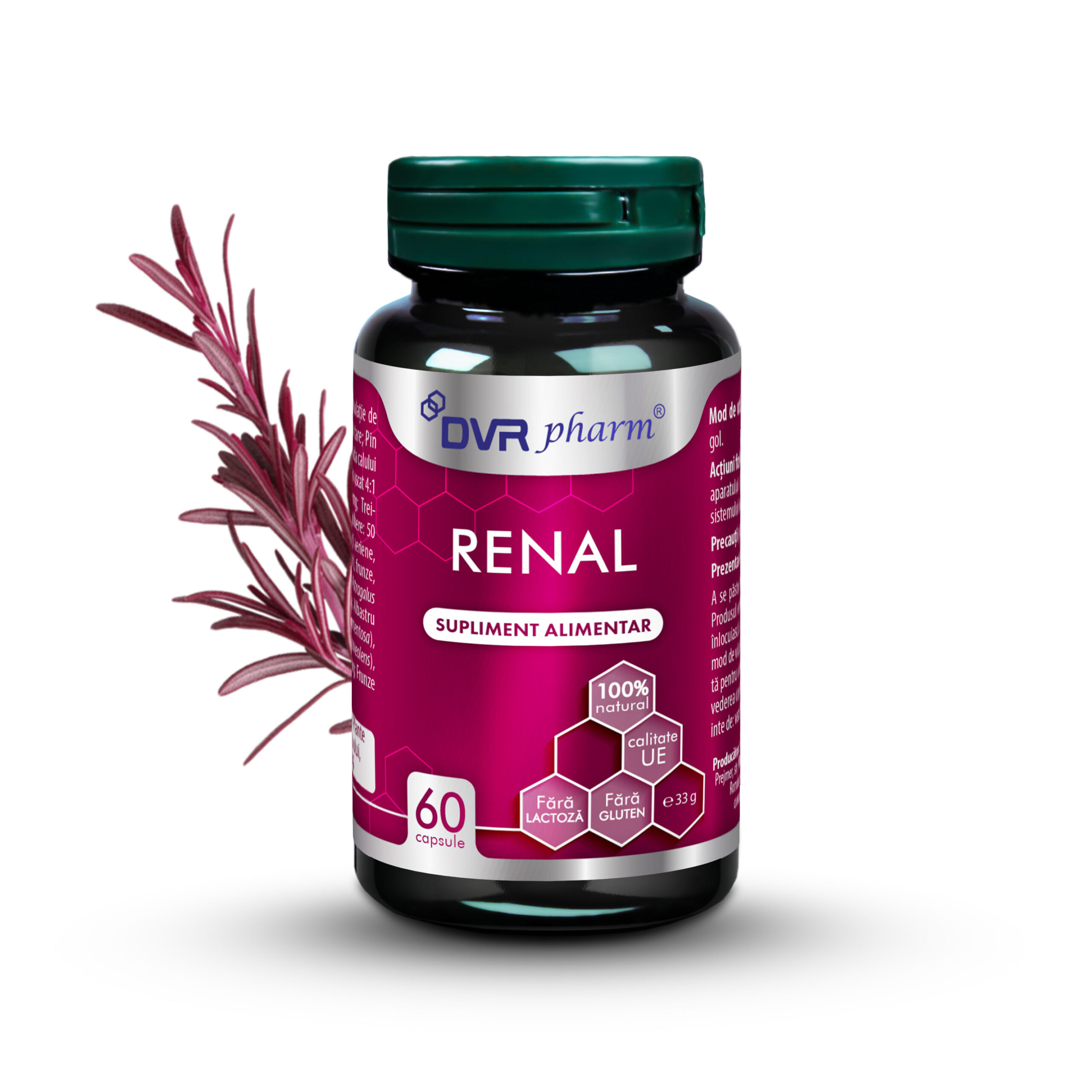 RENAL - 60 capsule